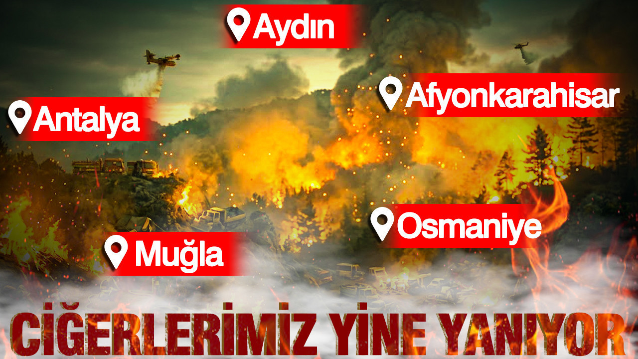 Ege bolgesi yaniyor yureklere kor dustu DmECwYRh